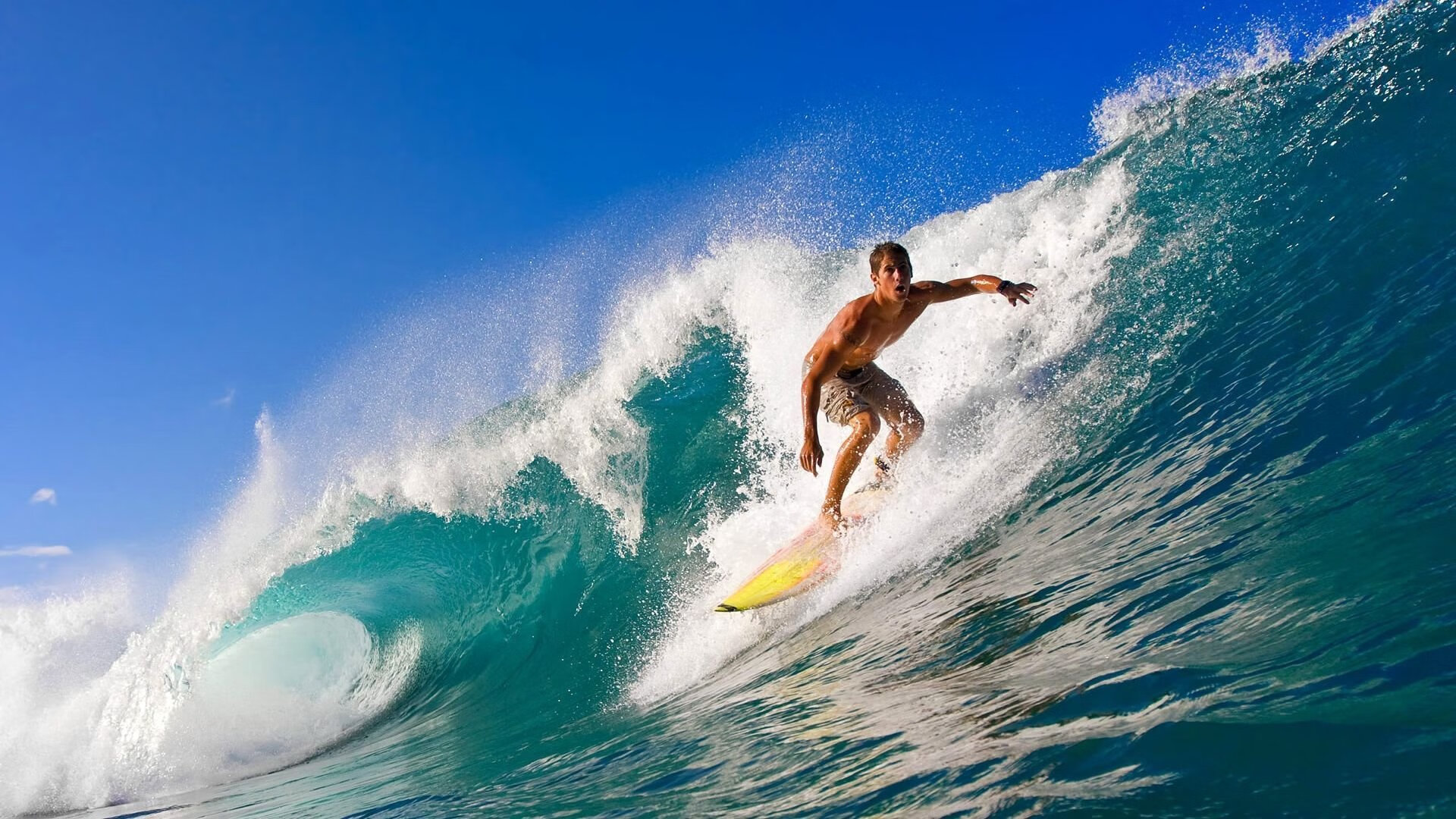 CBA联赛吸引越来越多的关注,cba联赛影响力